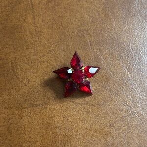 Red Gemstone Star Brooch